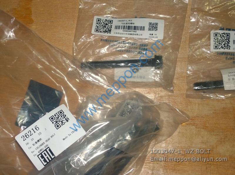 1003047-1_WZ BOLT SIDA