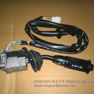252911971 500KV.10.2III.3 switch XCMG