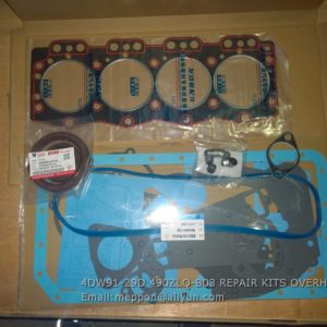 4DW91-29D 490ZLQ-B03 REPAIR KITS OVERHAUL XICHAI