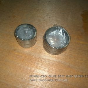 4DW91-29D VALVE SEAT N485 QC485 CC485 XICHAI