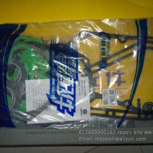 612600900162 repair kits weichai