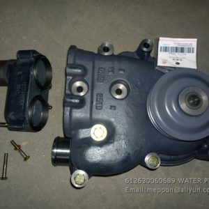 612630060689 WATER PUMP WEICHAI