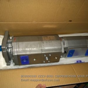 803000260 XZZX-B001 CBKP80/80/40/08 GEAR PUMP