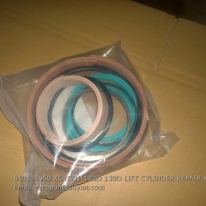 860123960 XGYG01-138D 139D LIFT CYLINDER REPAIR KITS