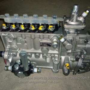 BP5161A BH6P120 S00000460+01 INJECTION PUMP SDEC