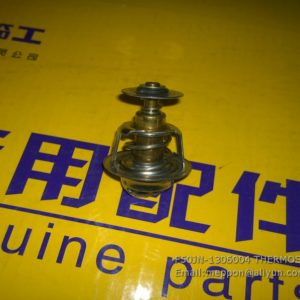 F50JN-1306004 THERMOSTAT