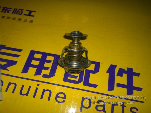 F50JN-1306004 THERMOSTAT