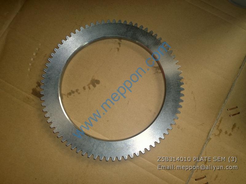 Z5B314010 PLATE SEM