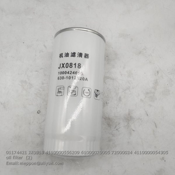 01174421 JX0818 4110000556209 61000070005 72000024 4110000054305 oil filter