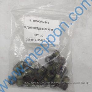 13023391 4110000054243 WEICHAI Valve steam seal