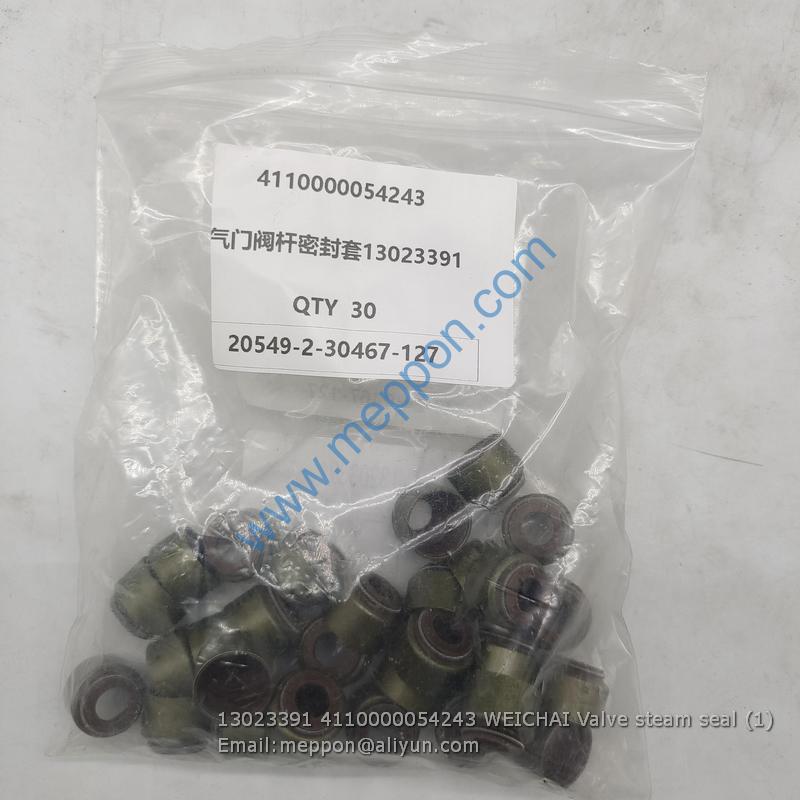 13023391 4110000054243 WEICHAI Valve steam seal