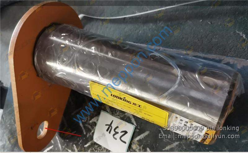 30890000009 pin lonking LG855.10I.0