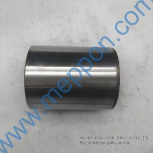 4043000124 BUSH SDLG LG933L