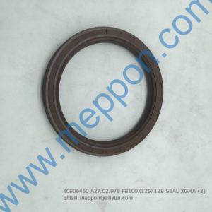 40906450 A27.02.978 FB100X125X12B SEAL XGMA