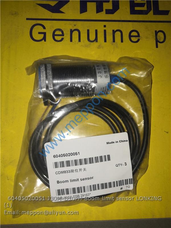 60405020051 J30M-D10PH Boom limit sensor LONKING – Meppon Co