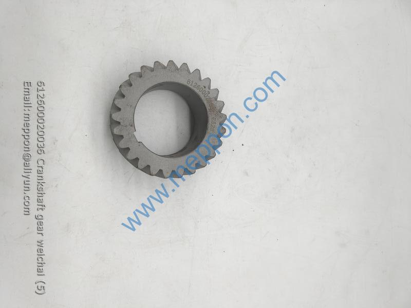 612600020036 Crankshaft gear weichai – Meppon Co., Ltd