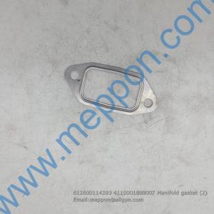 612600114293 4110001898007 Manifold gasket