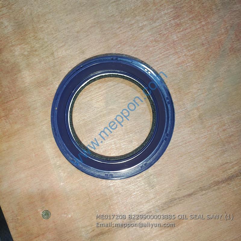 ME017208 B229900003885 OIL SEAL SANY