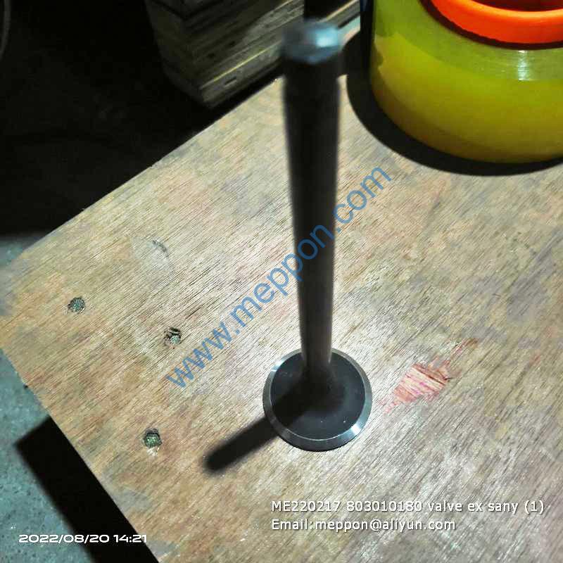 ME220217 803010180 valve ex sany