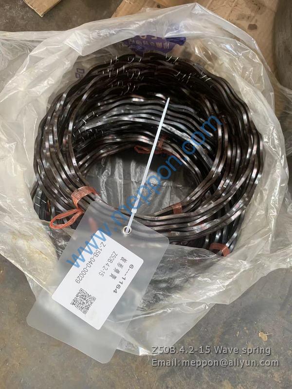 Z50B.4.2-15 Wave spring CHANGLIN