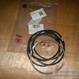 13487507 PISTON RING SANY