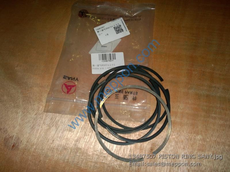 13487507 PISTON RING SANY