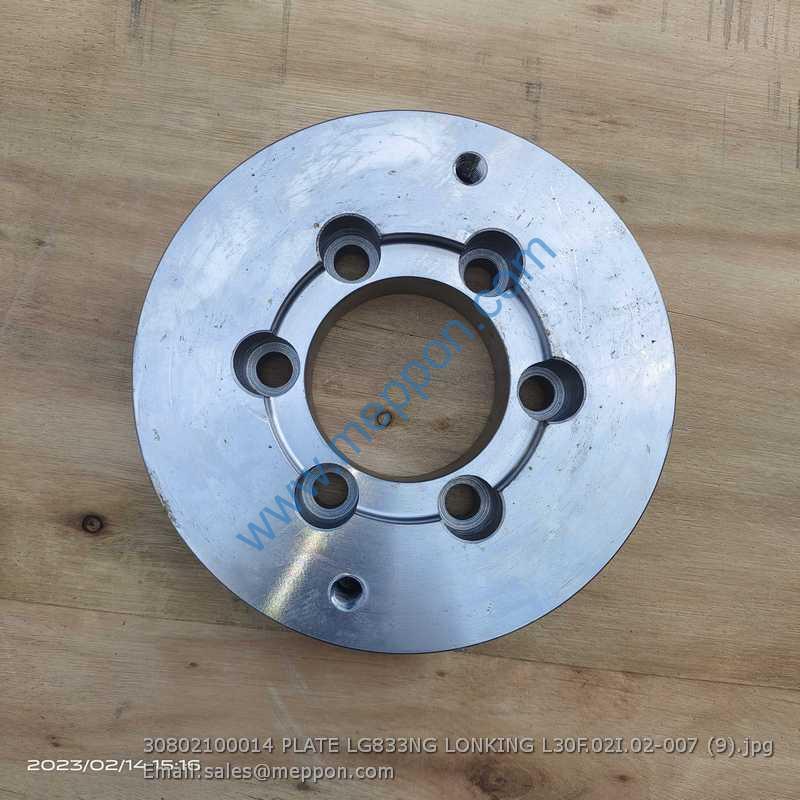 30802100014 PLATE LG833NG LONKING L30F.02I.02-007
