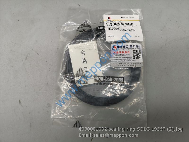 4030001002 sealing ring SDLG L956F