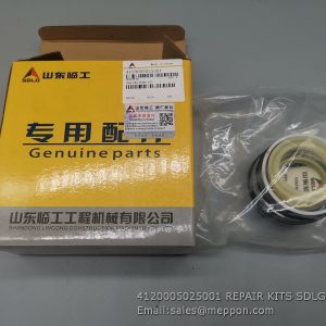4120005025001 REPAIR KITS SDLG
