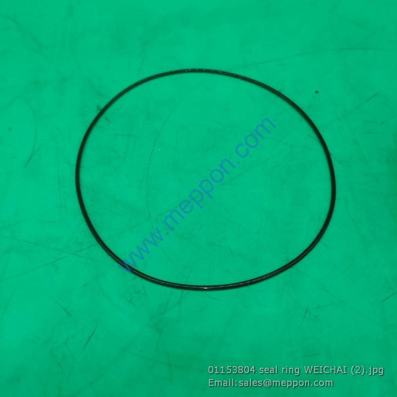 01153804 seal ring WEICHAI W010251410 SP105669