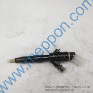 1000174120 INJECTOR WEICHAI