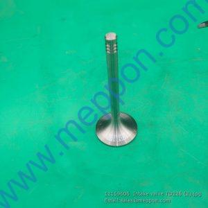 12159606 Intake valve TD226 WEICHAI 4110000909051 W010250690 SP105388 SP105243