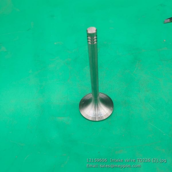 12159606 Intake valve TD226 WEICHAI 4110000909051 W010250690 SP105388