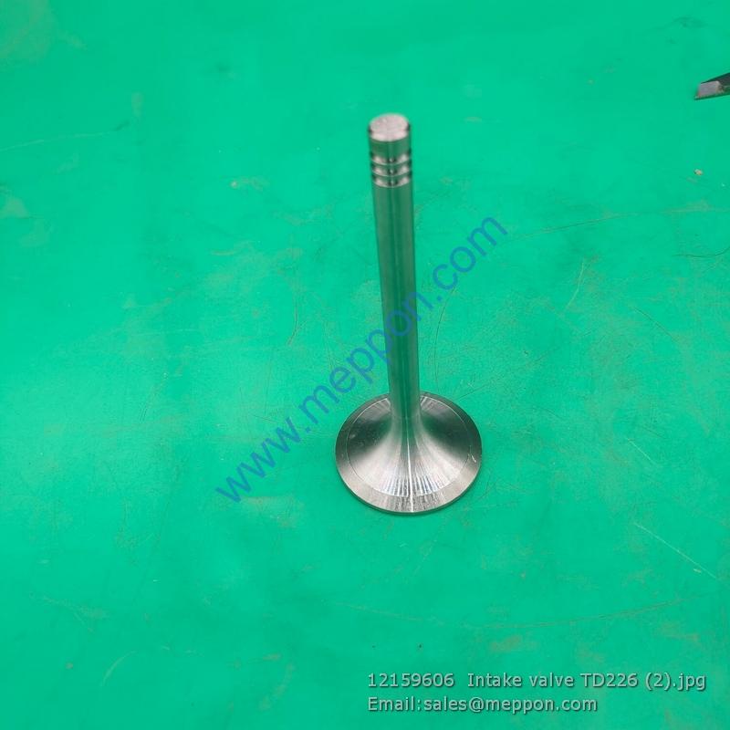 12159606 Intake valve TD226 WEICHAI 4110000909051 W010250690 SP105388
