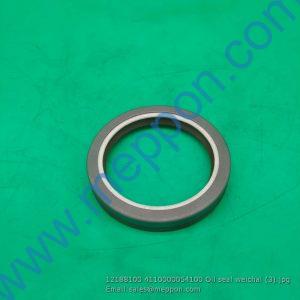 12188100 4110000054100 Oil seal weichai