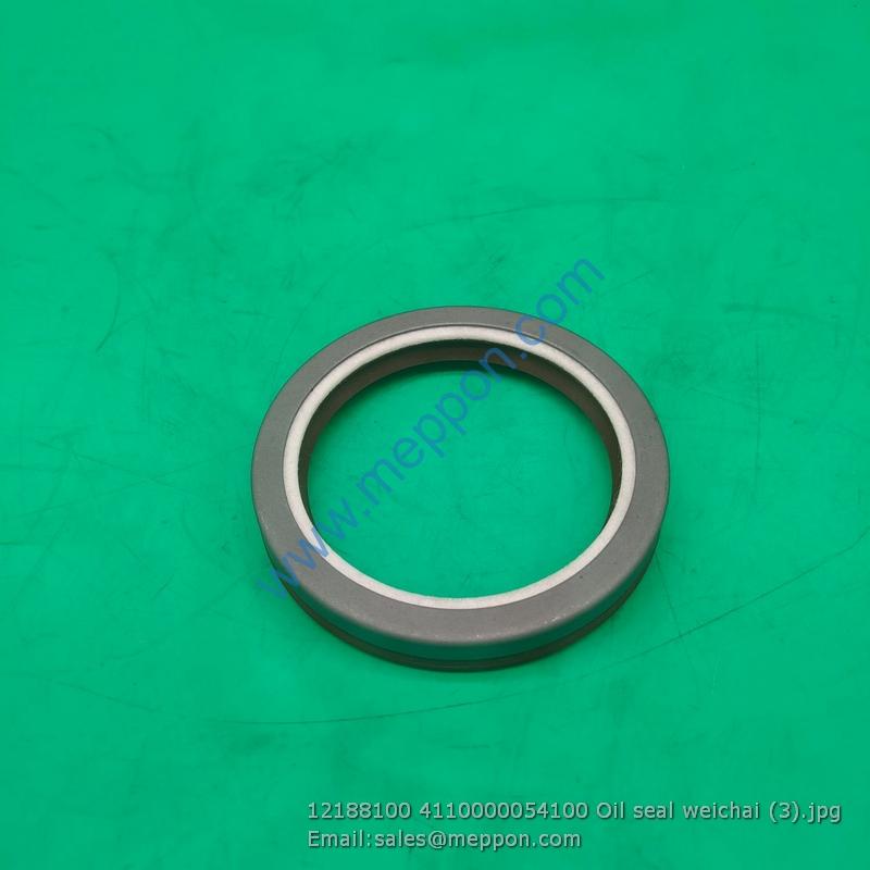 12188100 4110000054100 Oil seal weichai