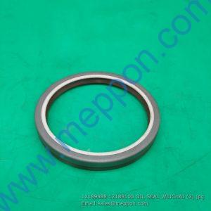 12189888 12188100 OIL SEAL WEICHAI