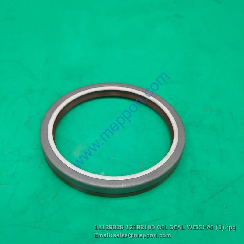 12189888 12188100 OIL SEAL WEICHAI