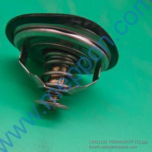 13021132 THERMOSTAT 4110000846038 SP107076 W010250110 13024466