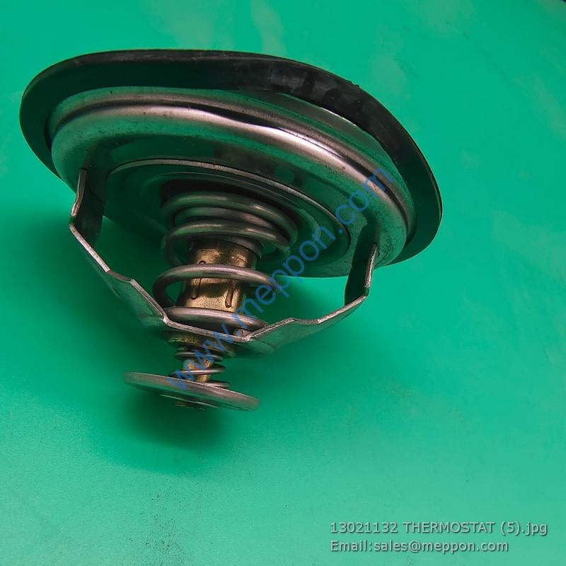 13021132 THERMOSTAT 4110000846038 SP107076 W010250110 13024466