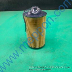 13055724 860131751 FILTER WEICHAI 4110001948041 60900003263 53C0859 J4110001948041
