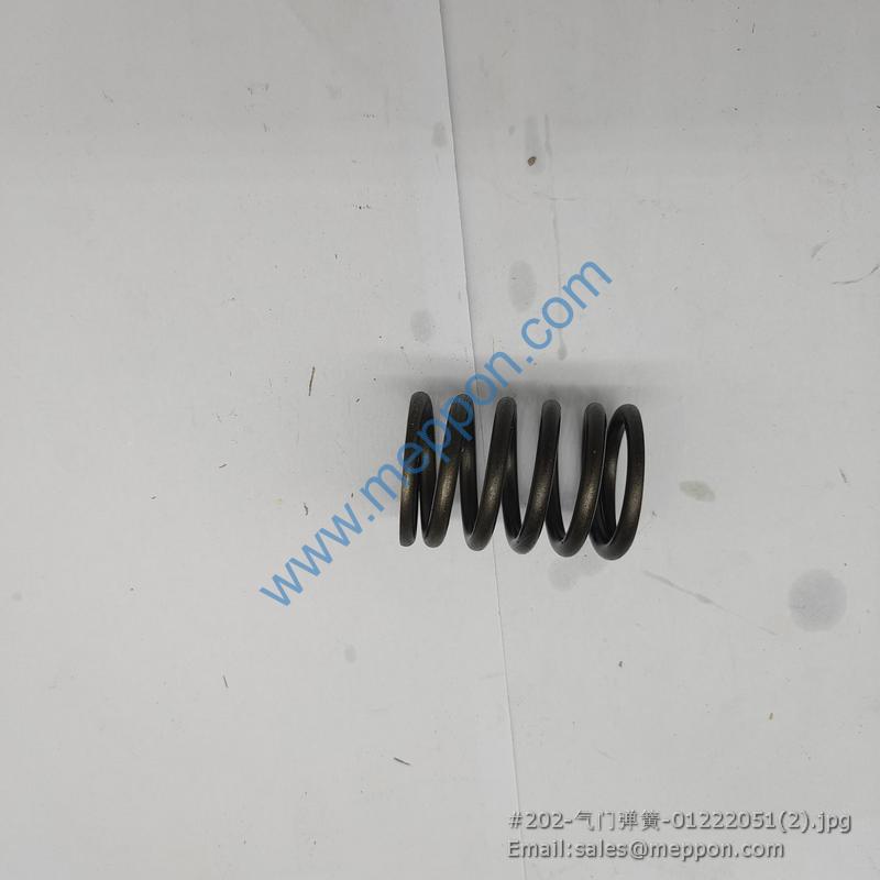 01222051 VAVE SPRING W010250720