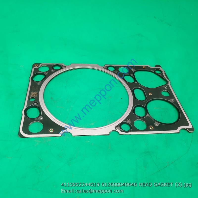 4110002244019 612600040646 HEAD GASKET