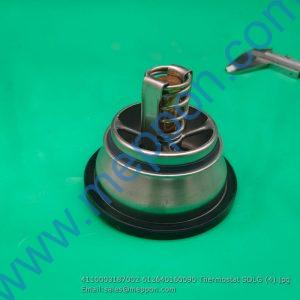 4110003187002 612640160090 Thermostat SDLG