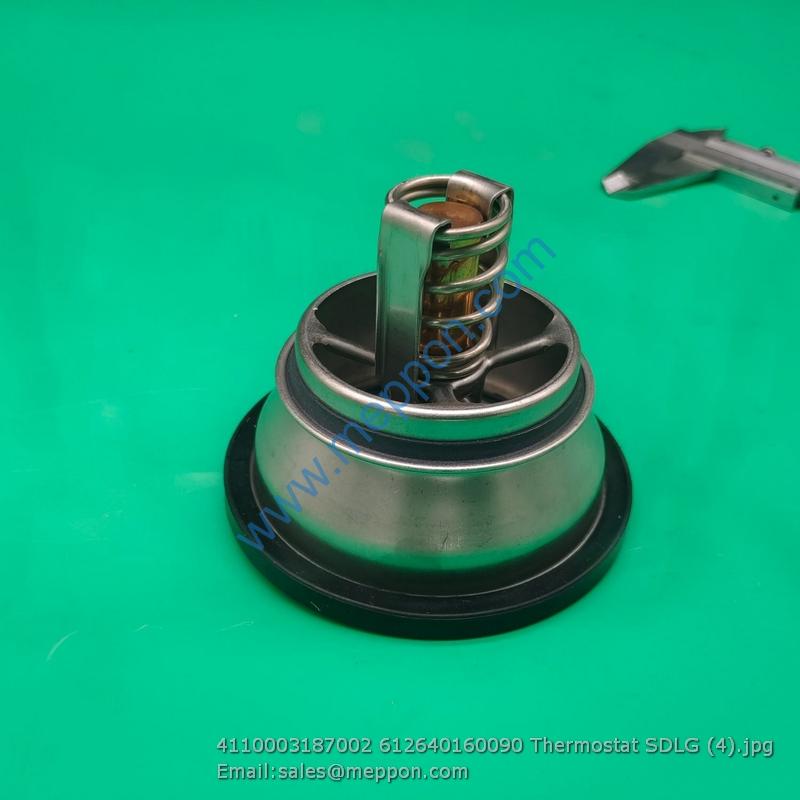 4110003187002 612640160090 Thermostat SDLG