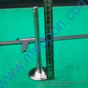 612600050073 Inlet valve weichai 4110000556089 SP101882 W010513520
