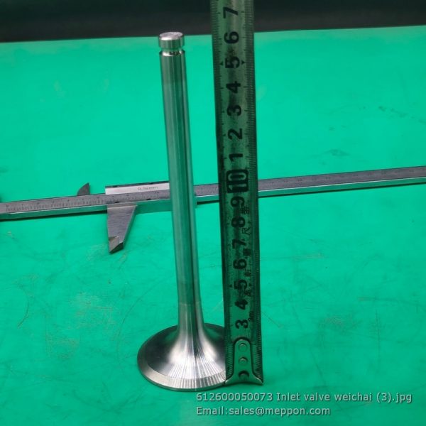 612600050073 Inlet valve weichai 4110000556089 SP101882 W010513520