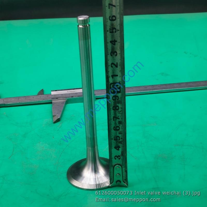 612600050073 Inlet valve weichai 4110000556089 SP101882 W010513520