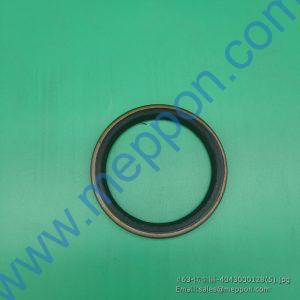 4043000128 SDLG DUST RING