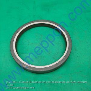 13022805 12189888 4110000054099 4110000846035 OIL SEAL WEICHAI